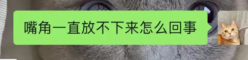 运动健身房装修设计图_装修健身_装修健身房需要注意什么